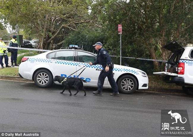 The Sydney man's corpse was unknown for a year, and the neighbor's identity as the owner of the house was revealed.