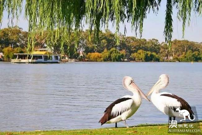 Melbourne is surrounded by these beautiful personality town!