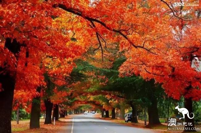 Melbourne is surrounded by these beautiful personality town!