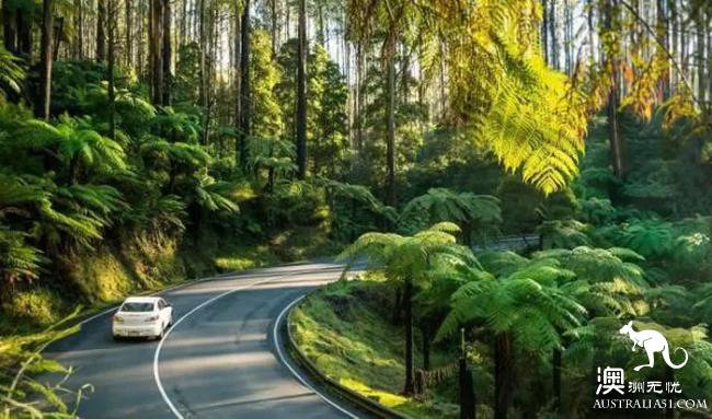 Melbourne is surrounded by these beautiful personality town!
