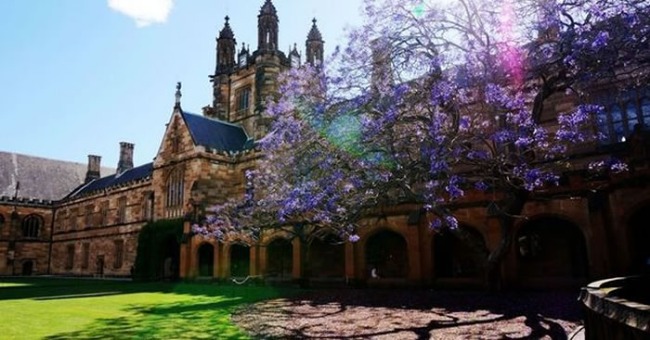 Come to Australia to choose a major to see this ranking! Australia leads the world in three disciplines