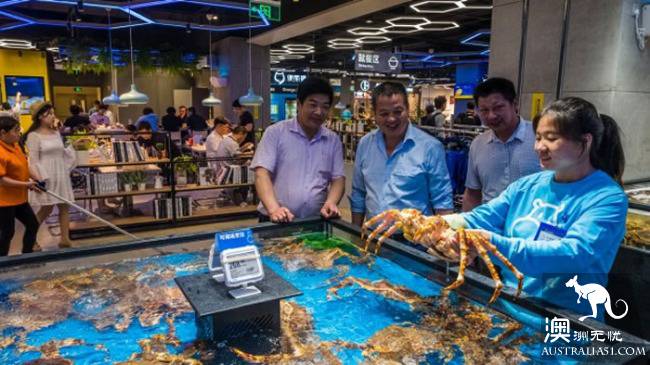Report on restricted Export of Seafood to China calls for Australian government intervention