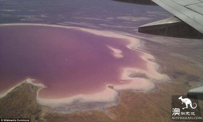 南澳的艾尔湖（Lake Eyre）开始变得色彩缤纷，吸引了大批游客前往