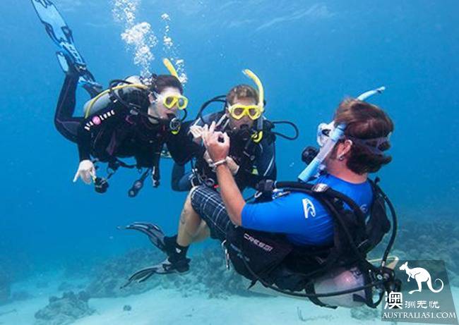 Australian Citizen Minister: special work visa issued this year! You can live forever!