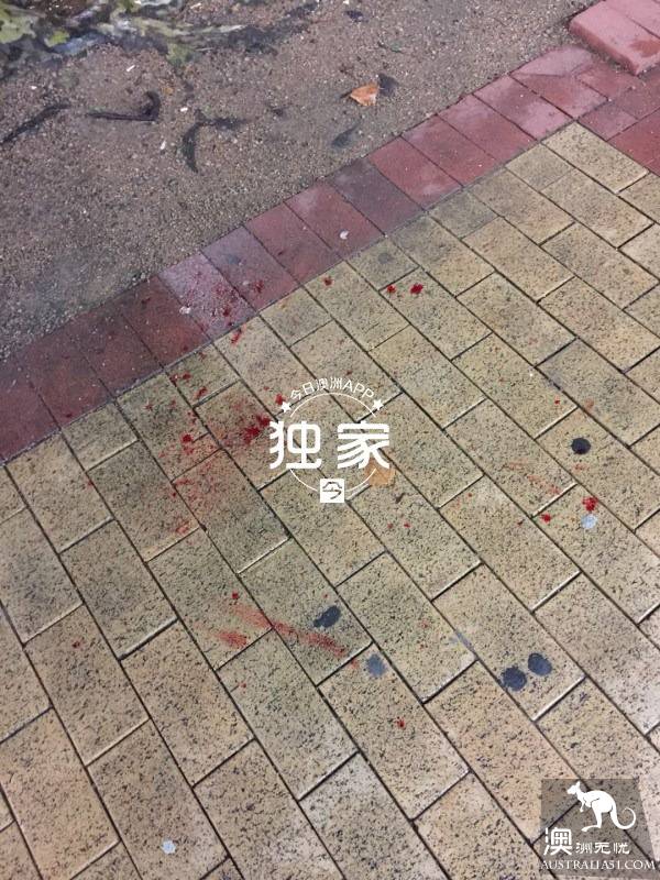“他们叫嚣捅死我们、强奸我，还想烧店！”卧龙岗华人及留学生成袭击目标，频遭殴抢，多人受伤！
