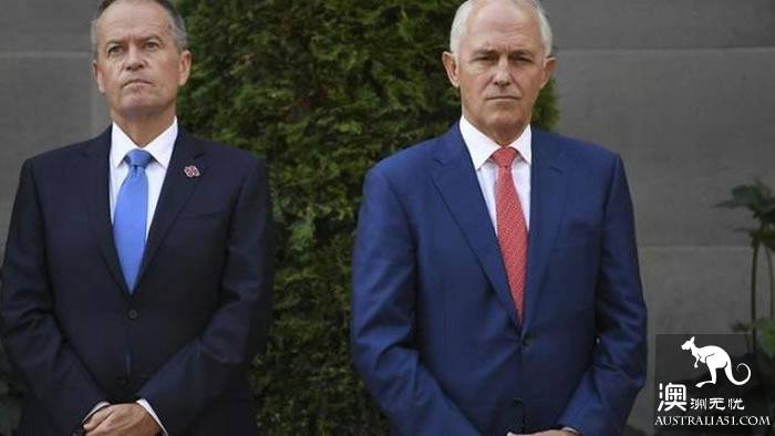 Australian politics is another bloody storm! 5 government polls rose before the key by-election