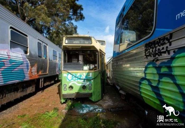 This group of people who like to spray and paint the trains have been watched by Melbourne police for a yea
