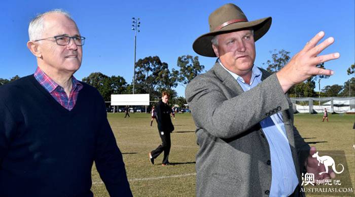 Australian politics is another bloody storm! 5 government polls rose before the key by-election