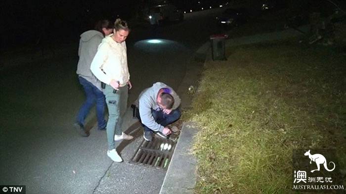 Sydney pregnant women suffered a burglary, six dollars in the body of the disaster is not dead!
