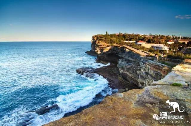 Sydney's best whale watching season is coming! Top 6 great places