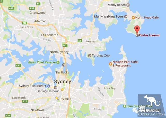 Sydney's best whale watching season is coming! Top 6 great places