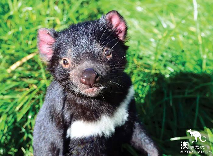 It's an unusual Tazhou Wildlife Park. Have you ever been here?