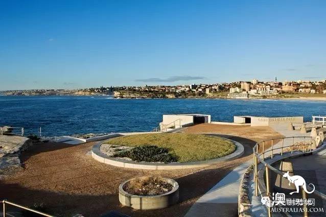 Sydney's best whale watching season is coming! Top 6 great places