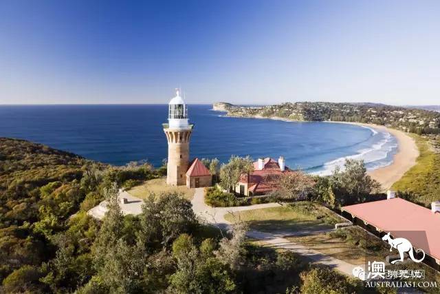 Sydney's best whale watching season is coming! Top 6 great places
