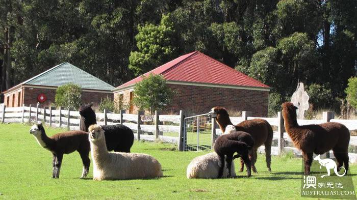 It's an unusual Tazhou Wildlife Park. Have you ever been here?