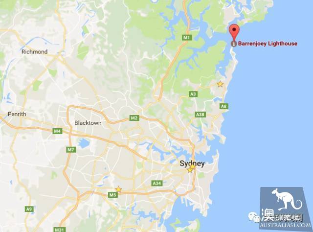 Sydney's best whale watching season is coming! Top 6 great places