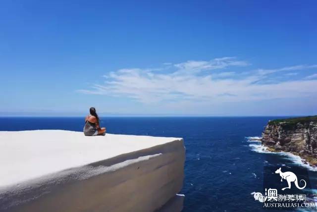 Sydney's best whale watching season is coming! Top 6 great places