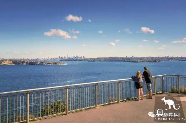 Sydney's best whale watching season is coming! Top 6 great places
