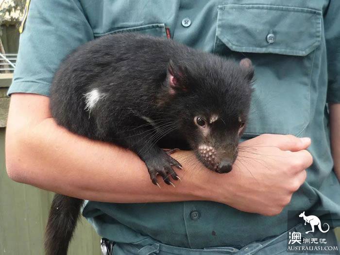 It's an unusual Tazhou Wildlife Park. Have you ever been here?