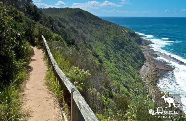 Sydney's best whale watching season is coming! Top 6 great places