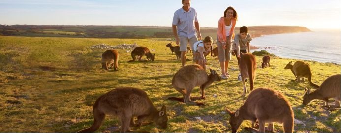 Chinese immigrants cry: do not agree with Australian values, do not emigrate!