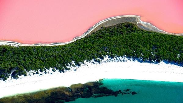 Australia accounts for one of the world's three pink-dyed dreamlands.
