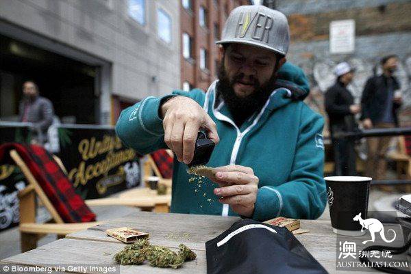澳洲是世界上大麻使用者比例最高的国家之一!应效仿加拿大,将大麻合法化?