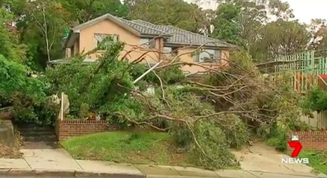 People pay tribute to SES volunteers and teenagers who died in the heavy rain in Sydney on Wednesday.