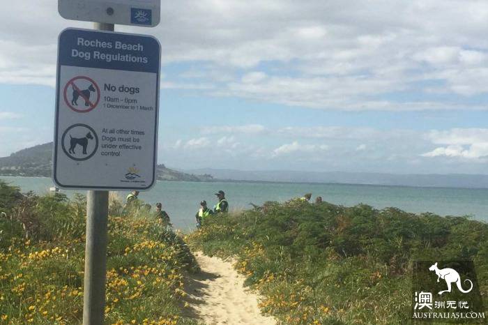 Hobart man swims at the seaside and is stung to death by a demon fish
