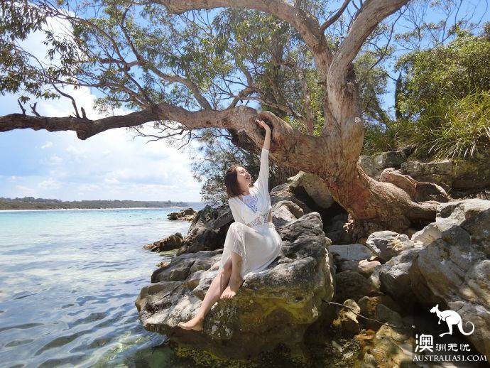 悉尼自驾游记：Jervis Bay，沙滩比基尼和拍照攻略