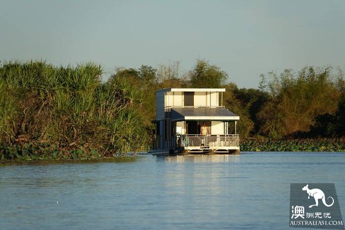 Take stock of Australia's most distinctive wildlife experience: the saltwater alligator right behind you.