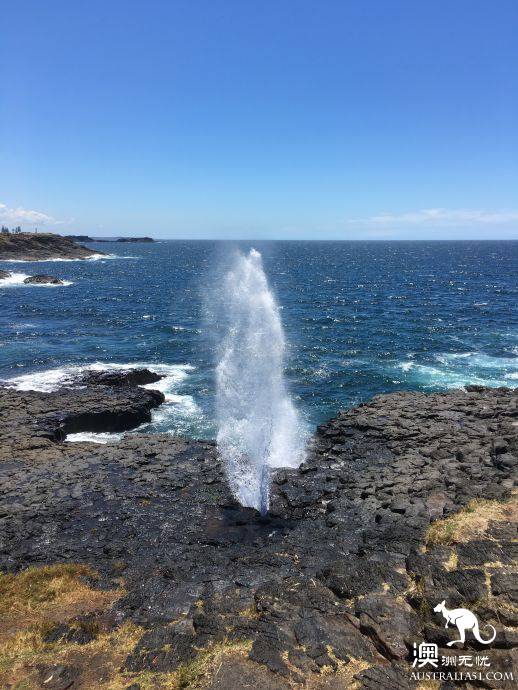 悉尼自驾游记：Jervis Bay，沙滩比基尼和拍照攻略