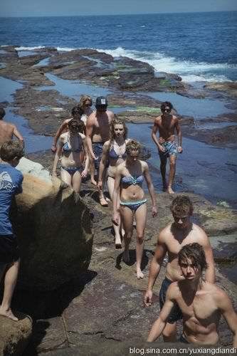 Sydney Little Sisters Bay Beach: the most popular 'Sewerage'
