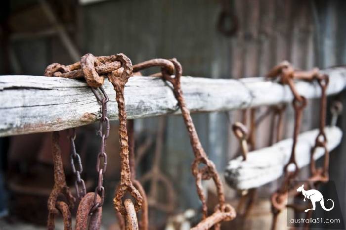 Abandoned Town: a Journey to Yerranderie, in Yerandry