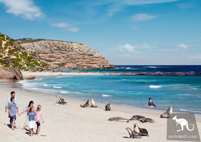 Chinese version of the tourism map of Kangaroo Island, South Australia