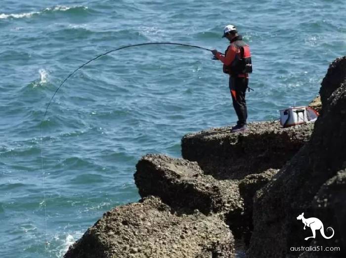 Despite strong opposition, South Australia government banned coastal Sparus macrocephalus fishing for three years