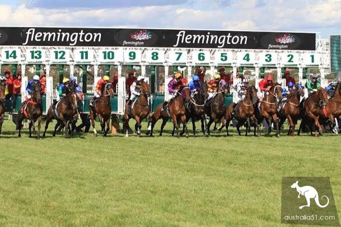Why would a horse have a holiday? These Melbourne horse racing festival inside story, must know.