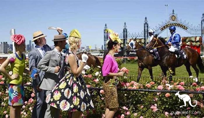 Why would a horse have a holiday? These Melbourne horse racing festival inside story, must know.