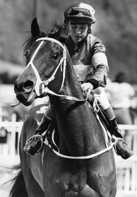 Why would a horse have a holiday? These Melbourne horse racing festival inside story, must know.