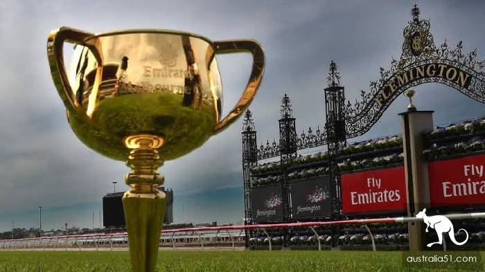 Why would a horse have a holiday? These Melbourne horse racing festival inside story, must know.
