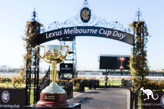 Why would a horse have a holiday? These Melbourne horse racing festival inside story, must know.