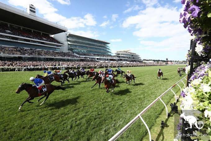 Why would a horse have a holiday? These Melbourne horse racing festival inside story, must know.