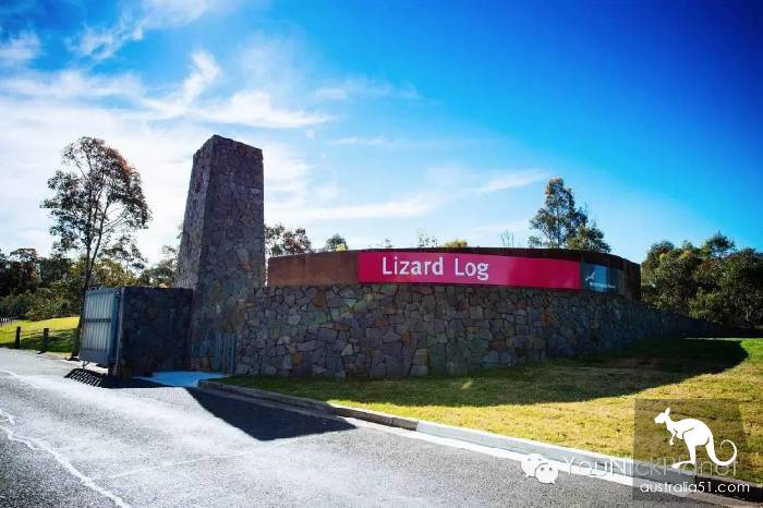 Spring is here. Let's go to Western Sydney Parklands and have a wizard of Oz.