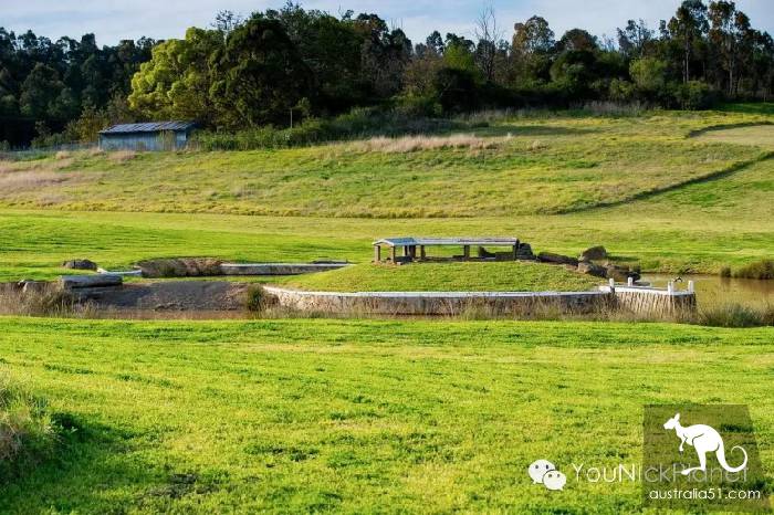 Spring is here. Let's go to Western Sydney Parklands and have a wizard of Oz.