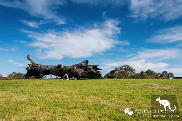Spring is here. Let's go to Western Sydney Parklands and have a wizard of Oz.