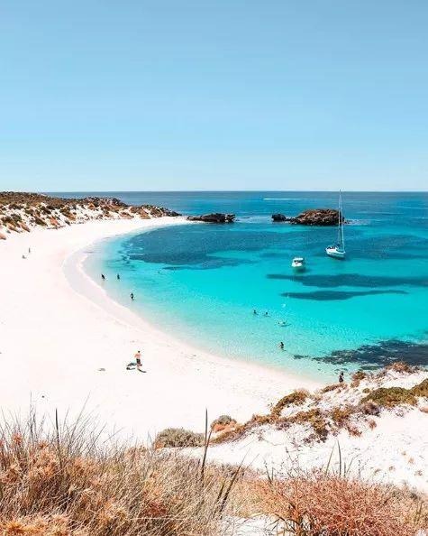 罗特尼斯岛全方位旅行“白皮书”，遇见小萌物短尾袋鼠Quokka吧！