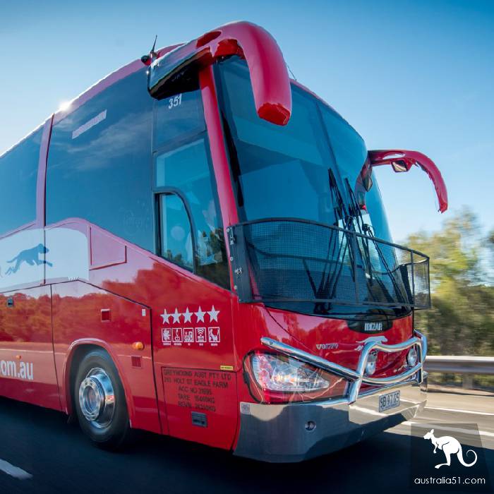 How to travel gracefully between Sydney and Canberra?