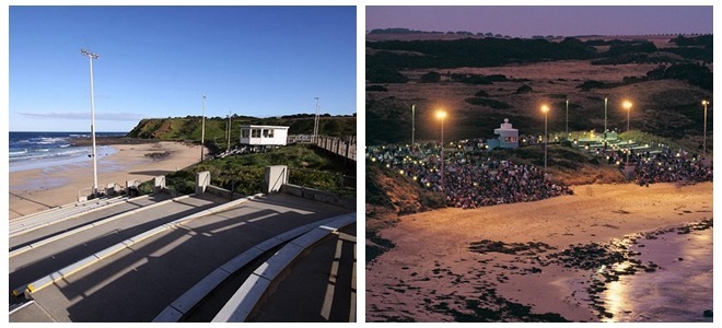 Go to Philip Island (Melbourne Penguin Island) to see penguins homing, ticket prices and stands