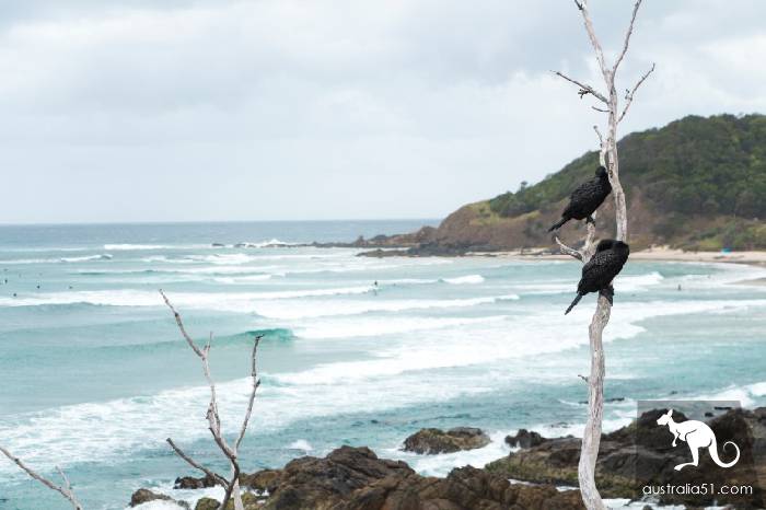 Australian treasure town Byron Bay (Byron Bay) traffic strategy, heaven, into the sea, watch the sunrise!