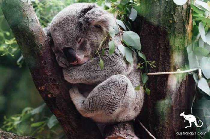 15 days & 00, the story of a Sydney student traveling to Keynes
